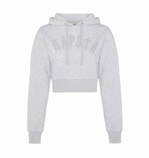 Grey Trapstar Irongate Stud Cropped Hoodie Women's Tracksuits | UABNRI-421