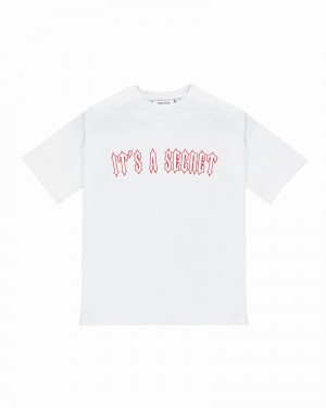 White / Red Trapstar It's a Secret Tee 2.0 Men's T Shirts | CBDJKX-374